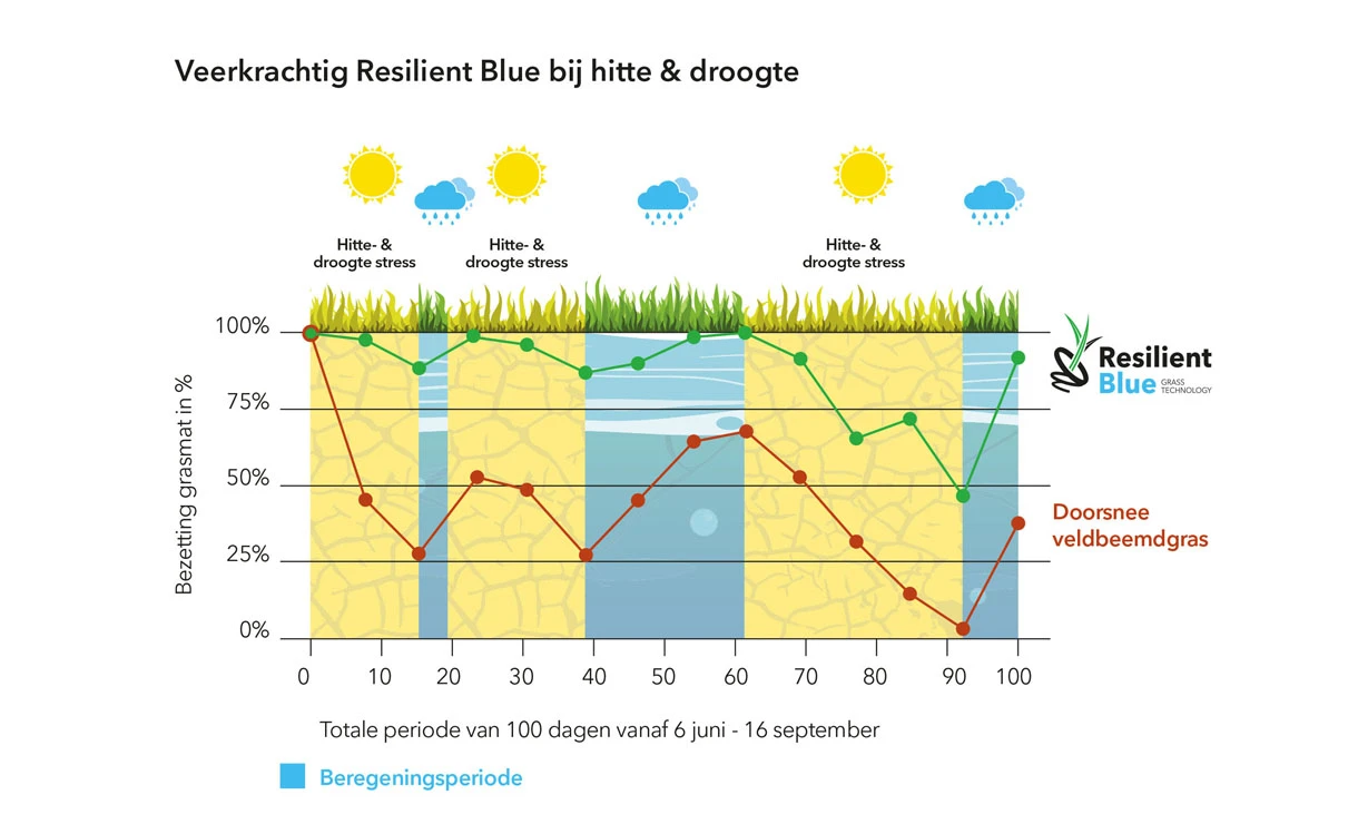 Barenbrug Resilient Blue Lawn 15 Kg - Afbeelding 3